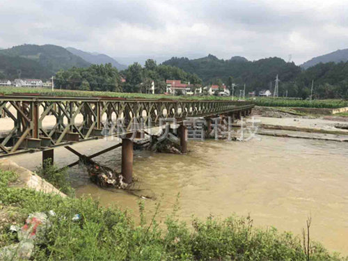 國內(nèi)貝雷橋11